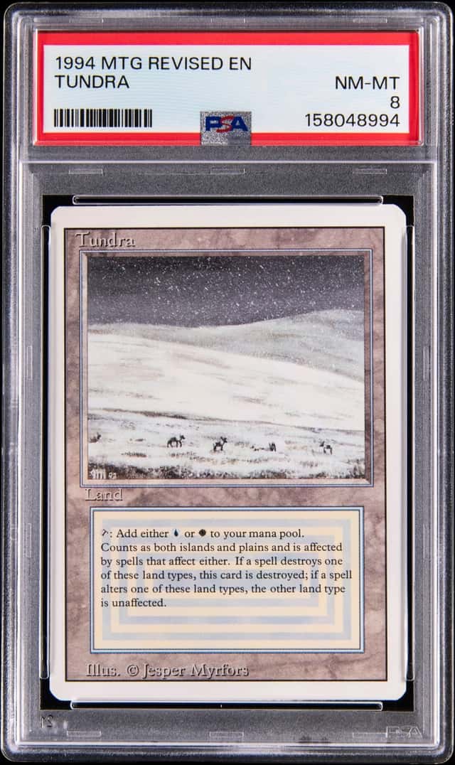 1994 Magic: The Gathering Revised Tundra - PSA NM-MT 8