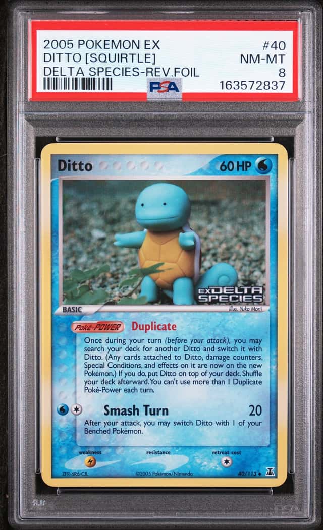 Ditto [Squirtle]