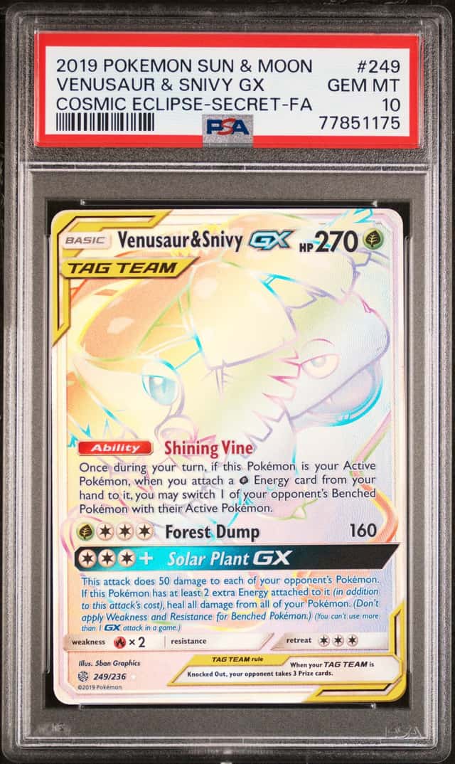 Venusaur & Snivy GX