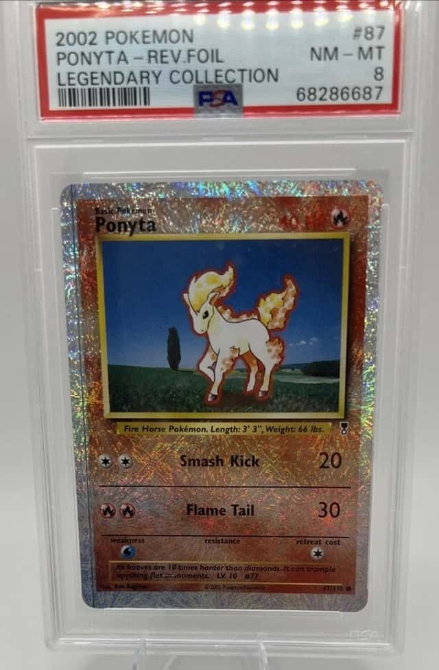 Ponyta