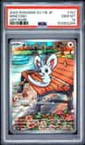 Minccino