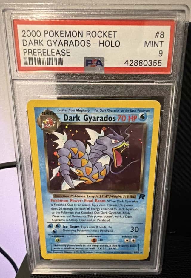 Dark Gyarados