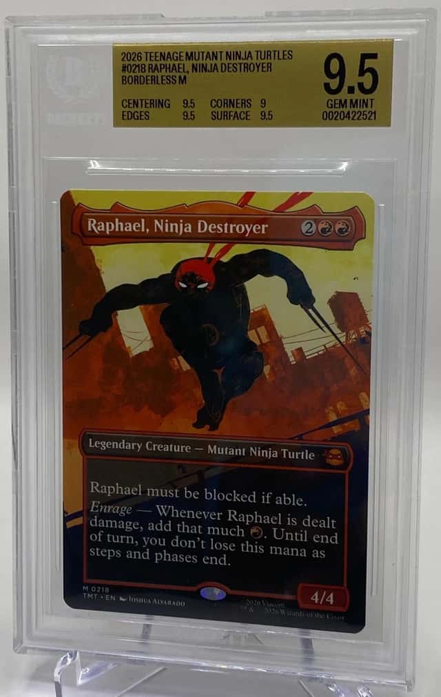 Raphael, Ninja Destroyer BORDERLESS M