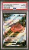Charizard V