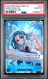 Nefeltari Vivi