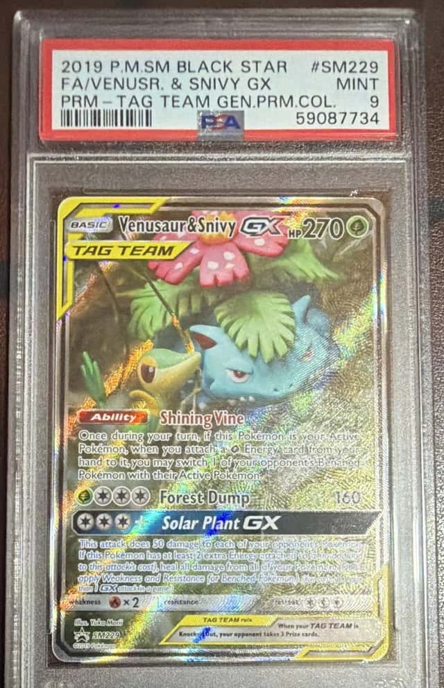 Venusaur & Snivy GX
