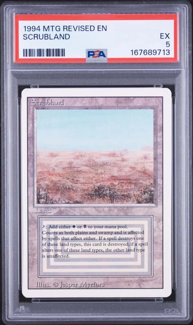 Scrubland