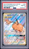 Raichu & Alolan Raichu Gx