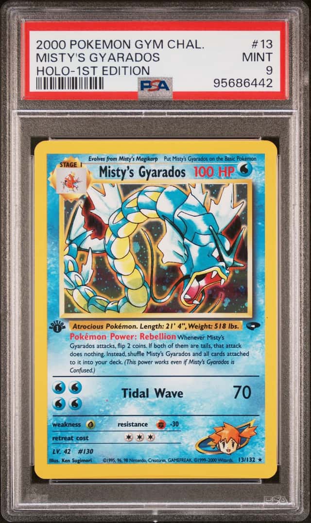 Misty's Gyarados