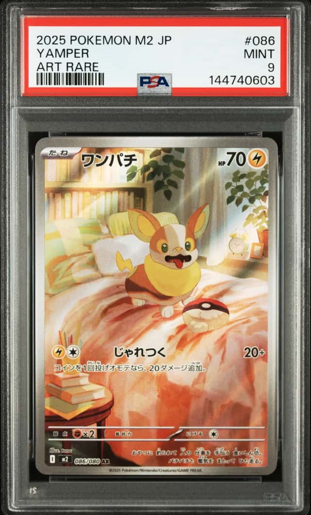 Yamper