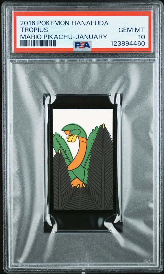 Tropius