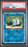 Dark Wartortle