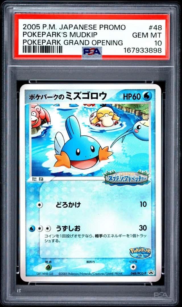 Pokepark's Mudkip