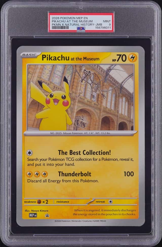 Pikachu At The Museum