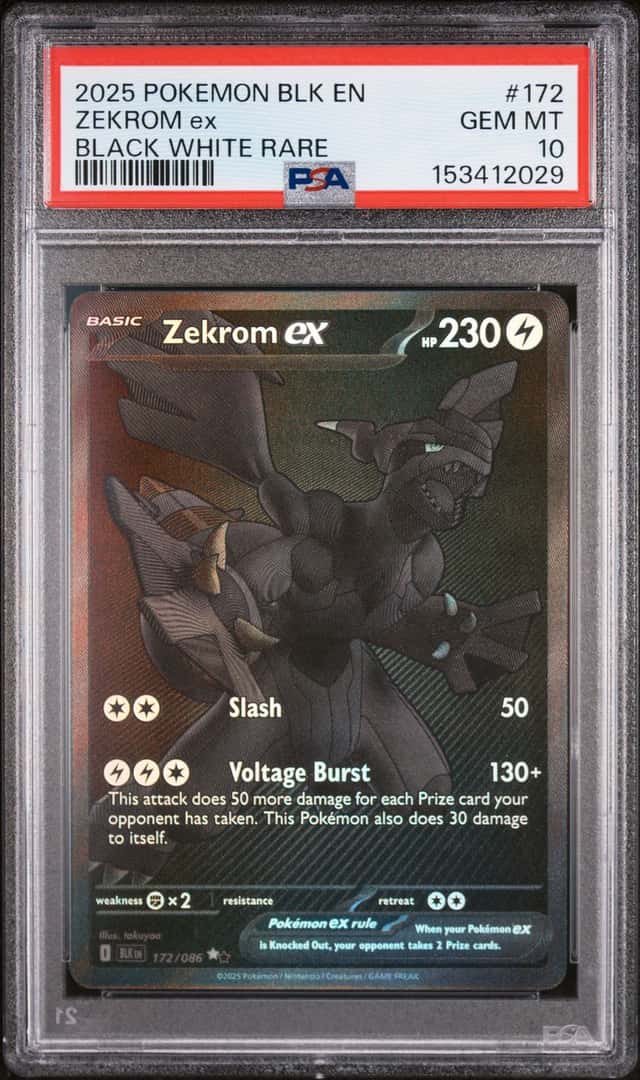 ZEKROM ex