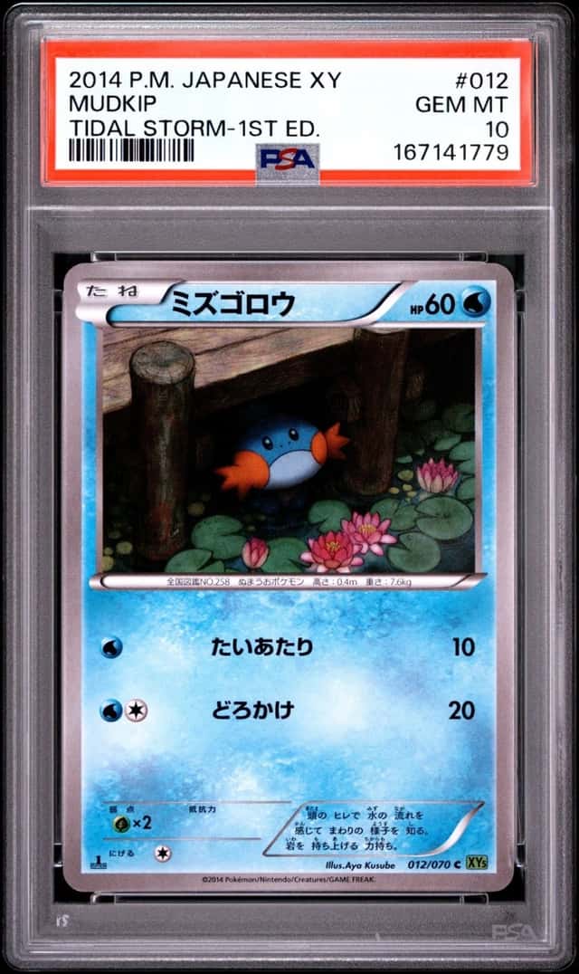 2014 POKEMON JAPANESE XY TIDAL STORM 1ST EDITION #012 MUDKIP PSA 10