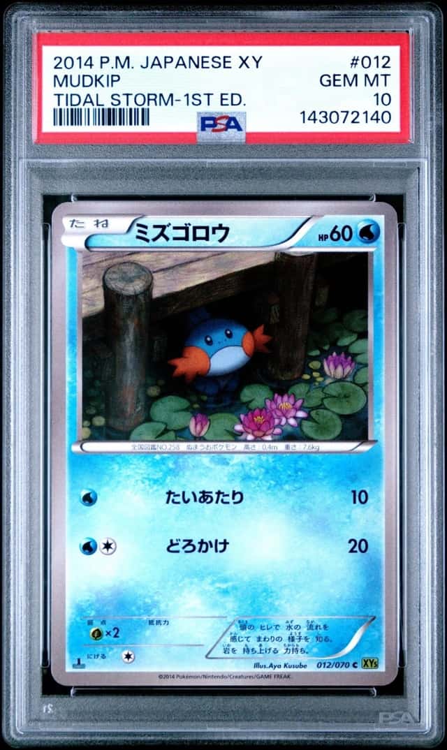 Mudkip