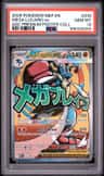 Mega Lucario Ex