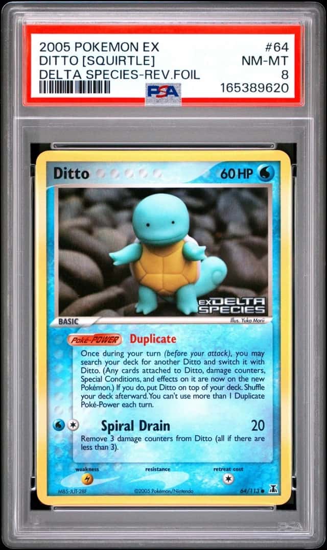 Ditto [Squirtle]