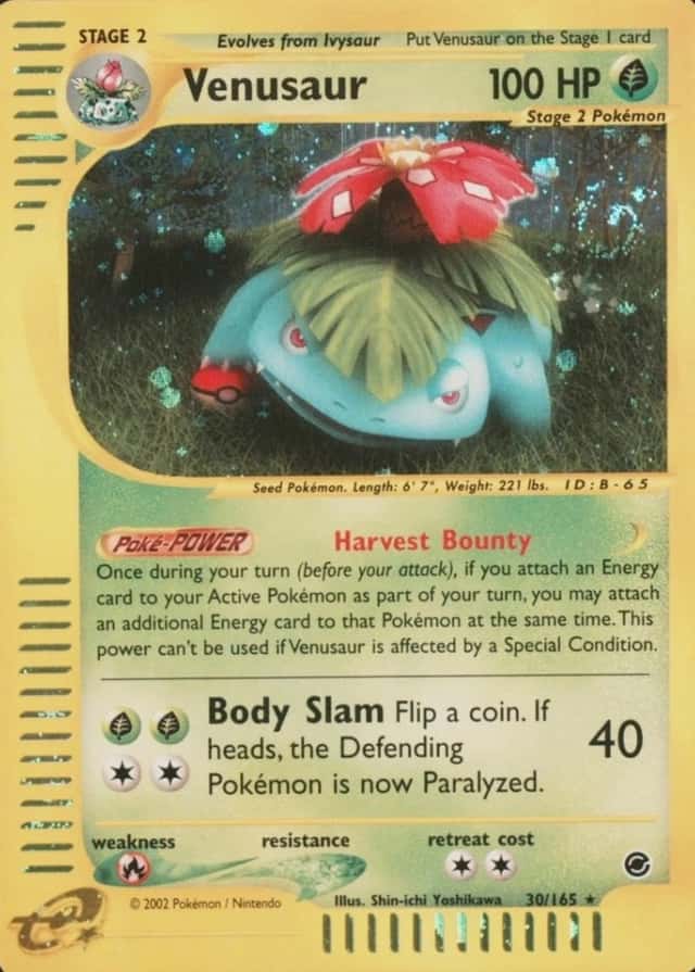 Holo