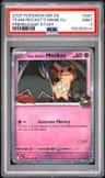 Team Rocket'S Mimikyu