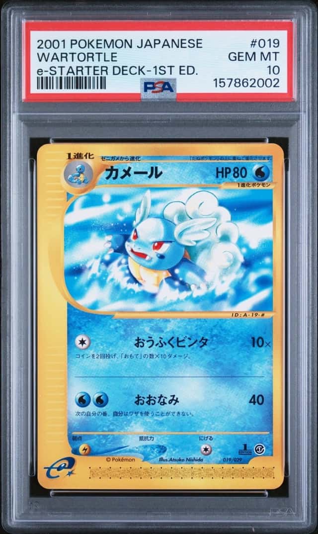 Wartortle