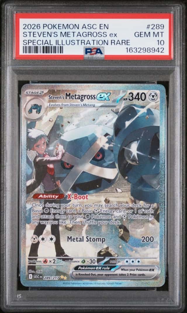 STEVEN'S METAGROSS ex