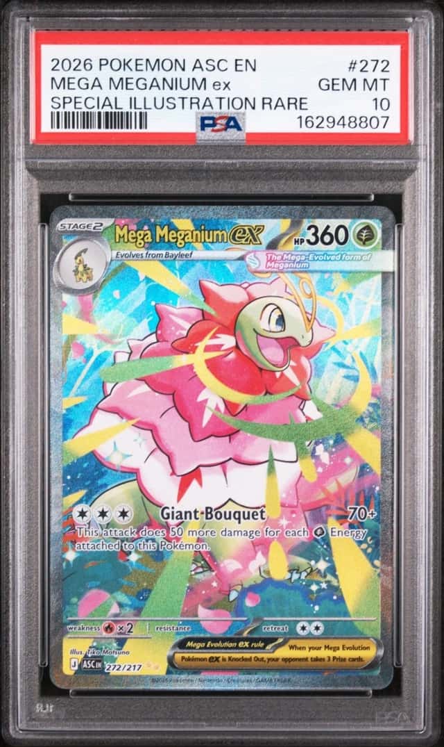 MEGA MEGANIUM ex