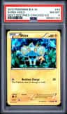 Shinx