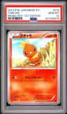 Torchic