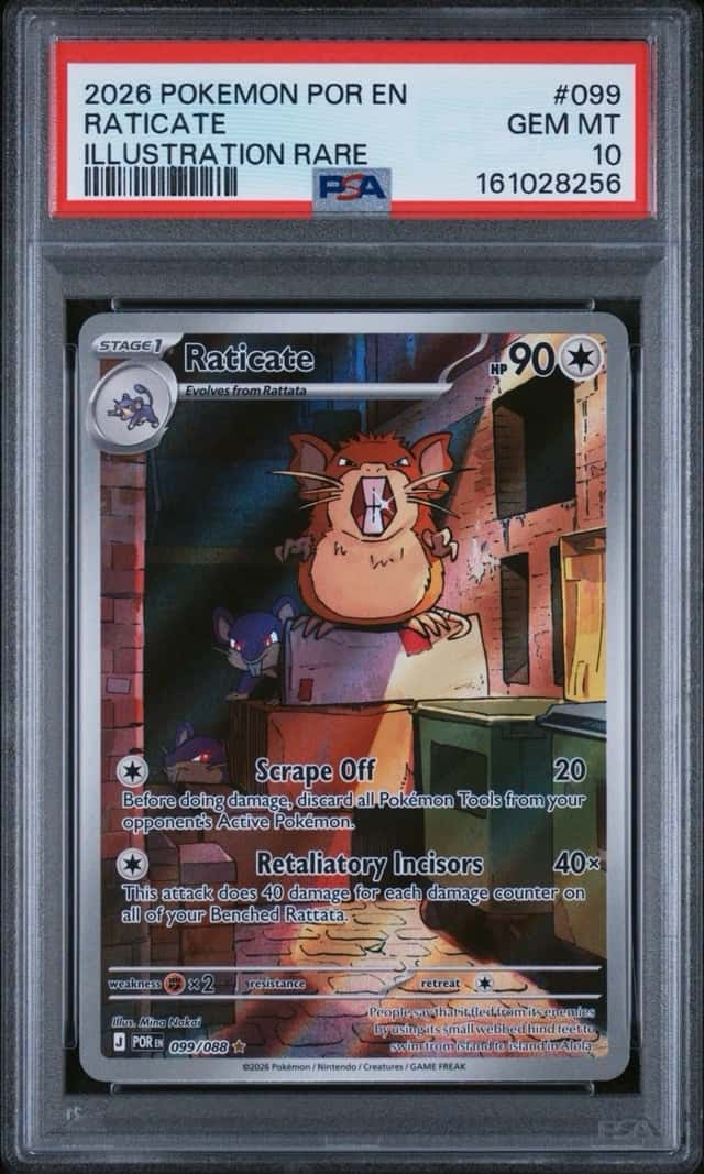 Raticate