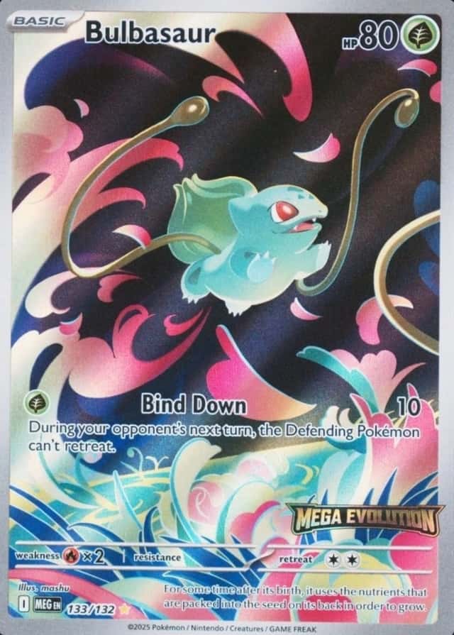 Box Topper