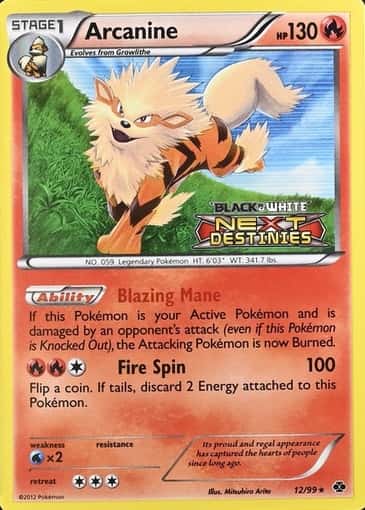 Holo · Prerelease