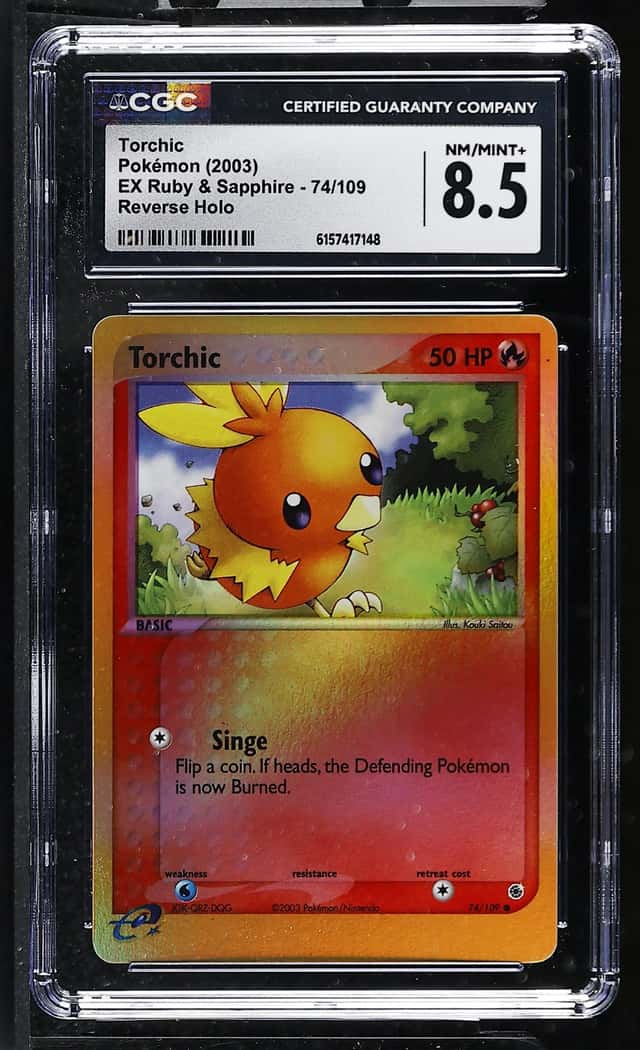 Torchic