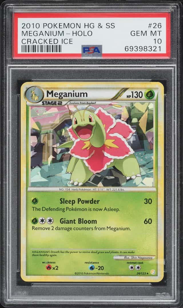 Meganium
