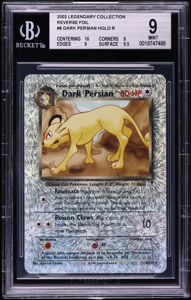 Dark Persian