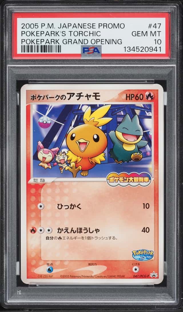 Pokepark's Torchic