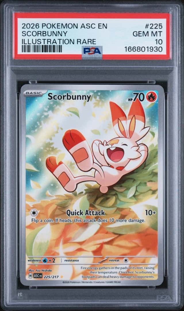 Scorbunny