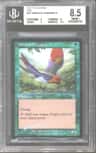 Birds Of Paradise R :g: