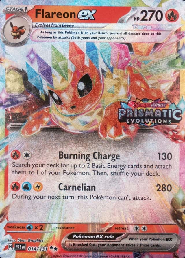 Holo · Box Exclusive Surprise