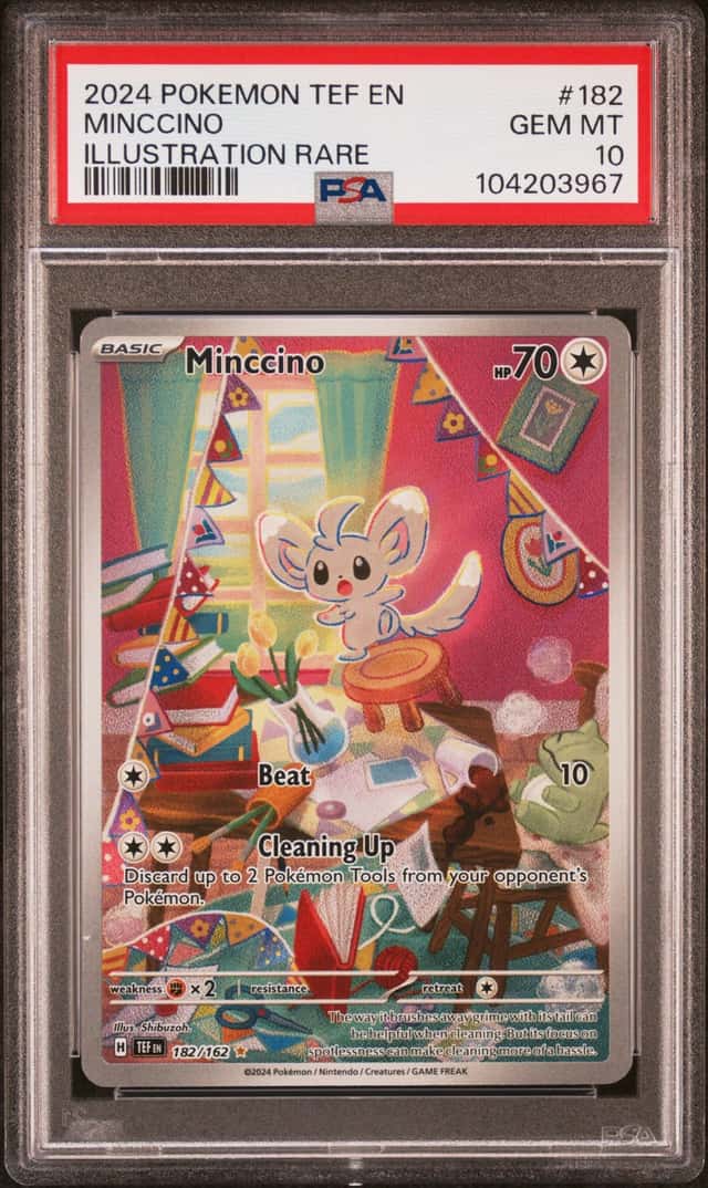 Minccino