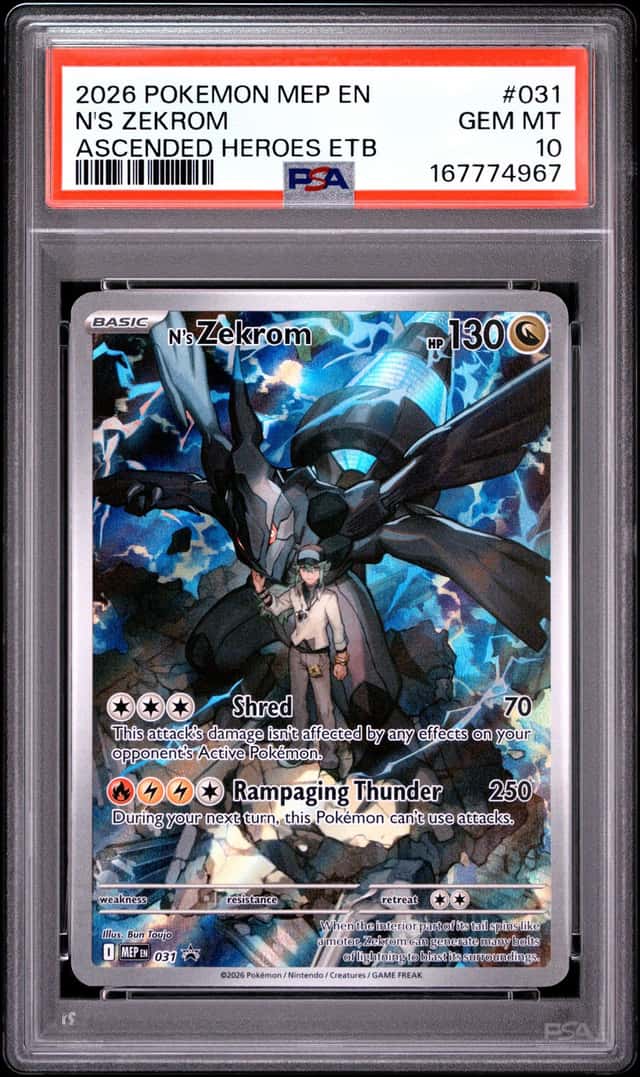 N's Zekrom