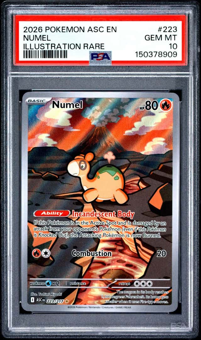 Numel