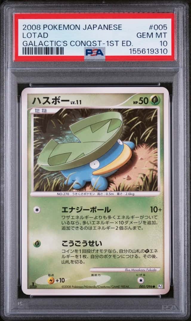 Lotad