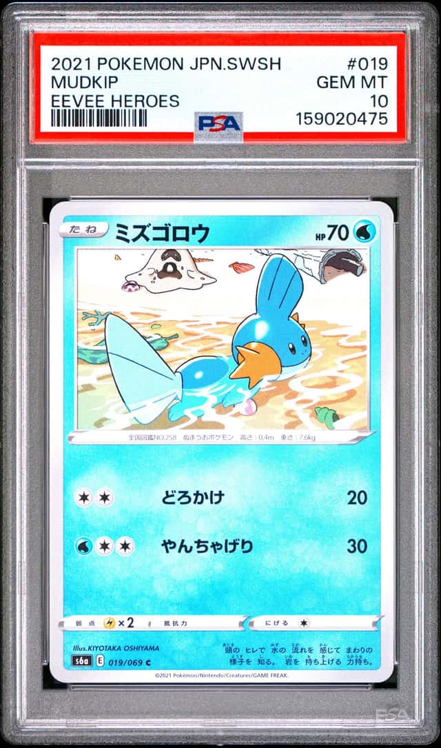 Mudkip