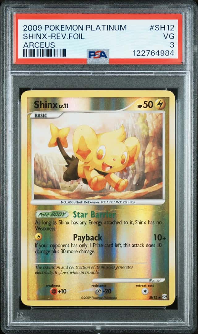 Shinx