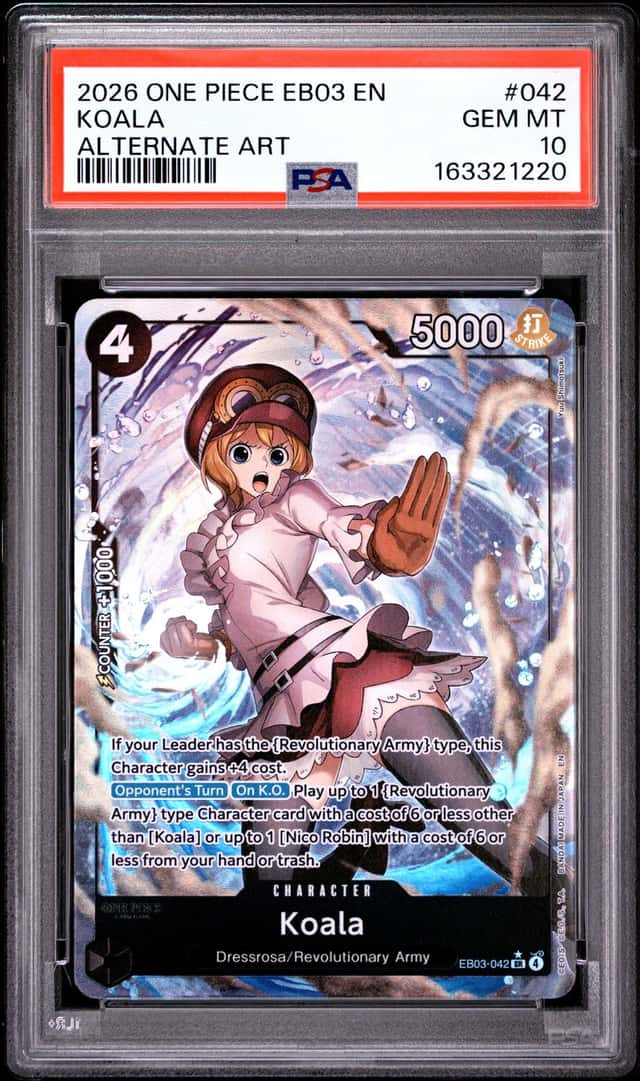 Koala