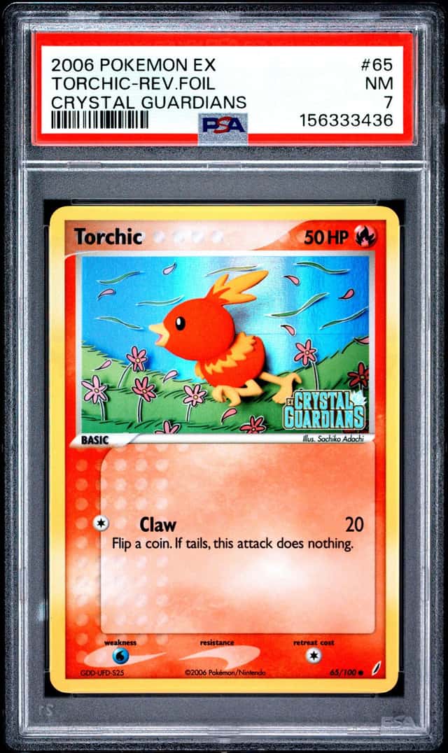 Torchic
