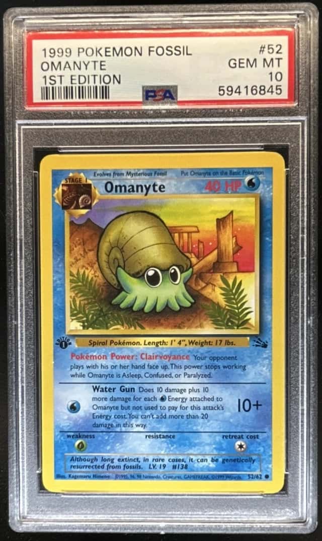 Omanyte