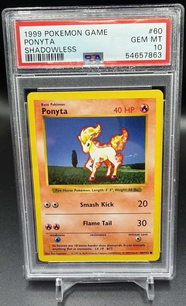 Ponyta